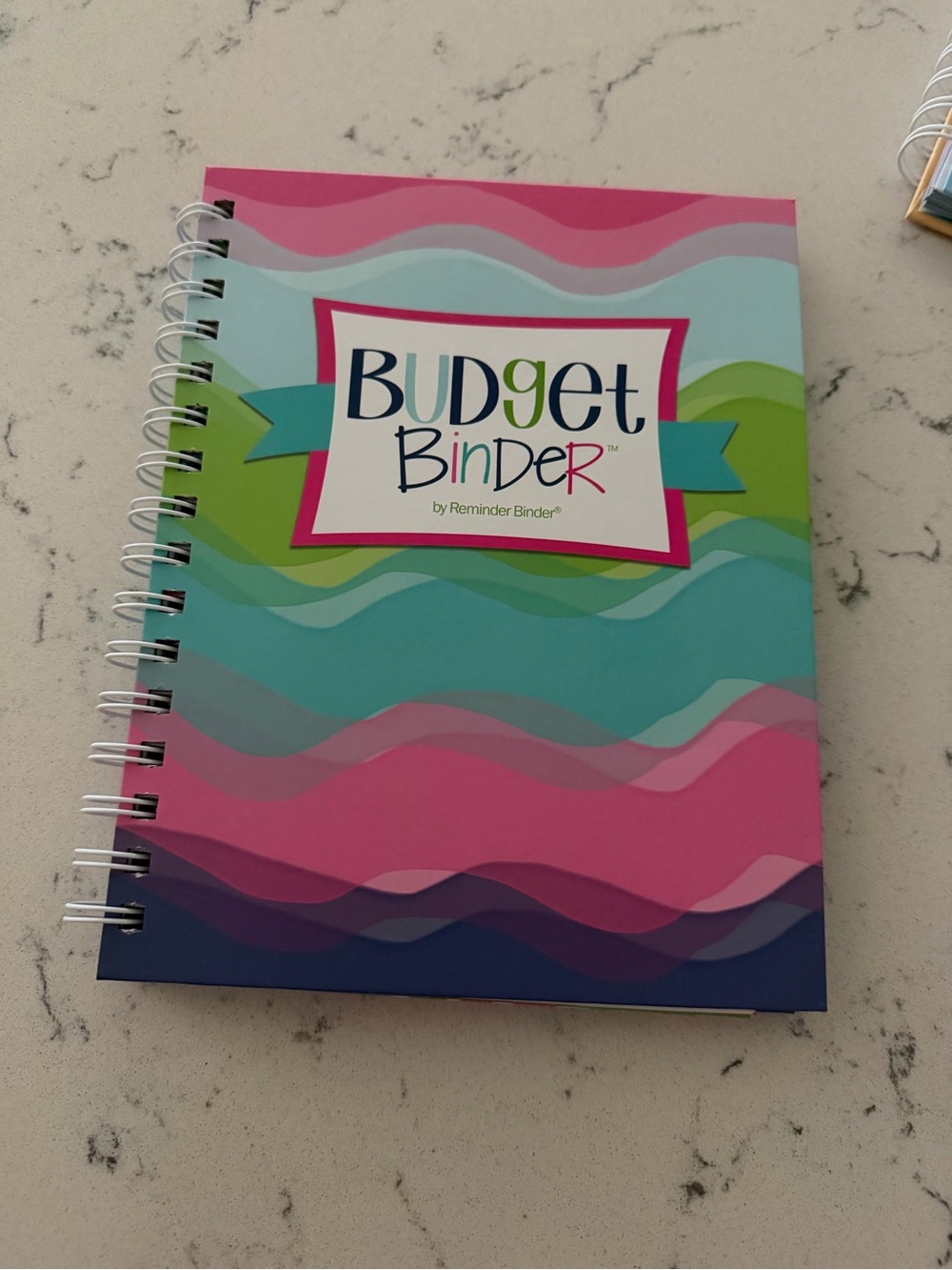 Budget Binder Spiral Notebook - Pink & Teal